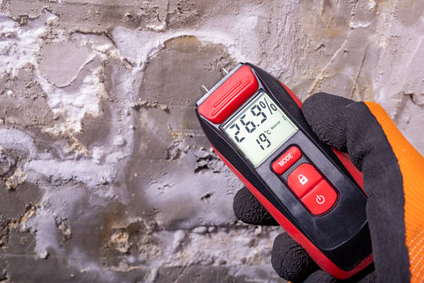 Certified Mold Removal in Fircrest, WA