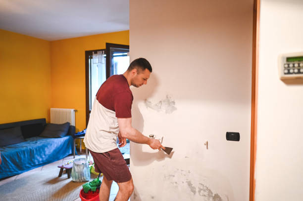 Professional Mold Removal in Fircrest, WA